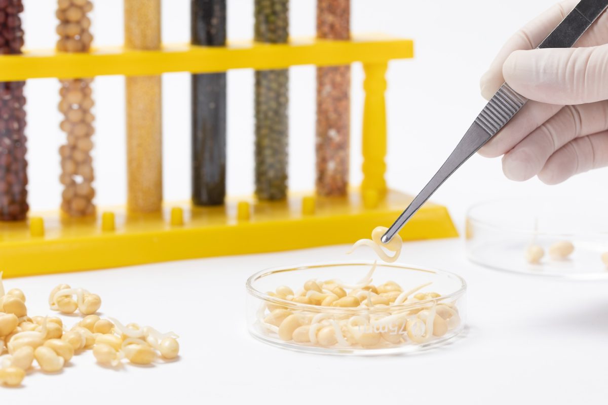 Gluten Duyarlılığını Erken Yakalayan Testler